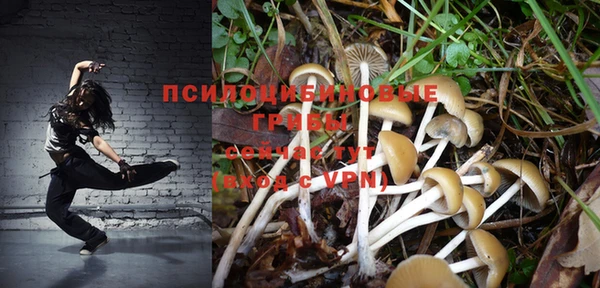 трава Богданович