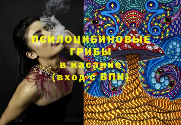 сатива Бронницы