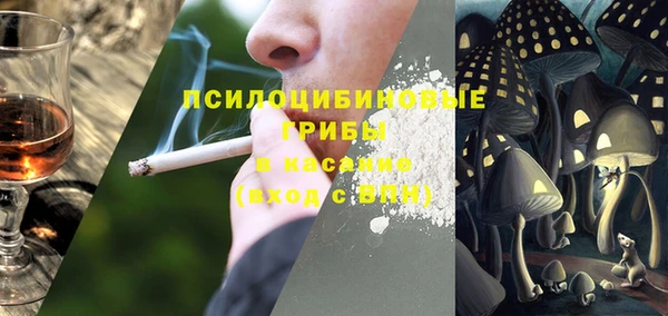 трава Богданович